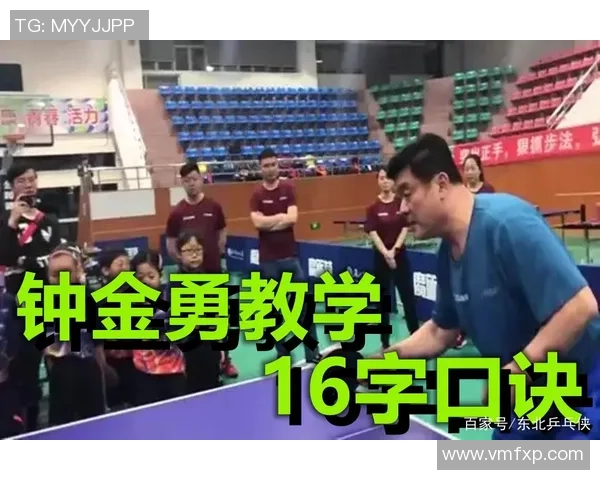 北京乒乓球队在挑战赛中的节奏表现分析与点评